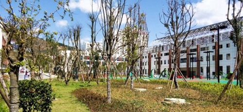 貴州經(jīng)貿(mào)職業(yè)技術(shù)學(xué)院校園綠化
