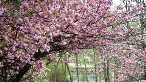 貴州工業(yè)職業(yè)技術(shù)學(xué)院校園風(fēng)物紀(jì)實(shí)4