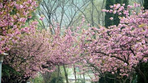 貴州工業(yè)職業(yè)技術(shù)學(xué)院校園風(fēng)物紀(jì)實(shí)5