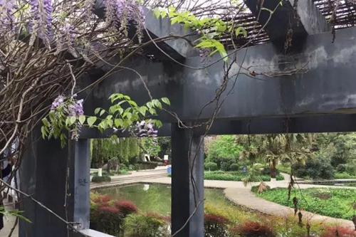 四川省中江中學(xué)校校園一角1