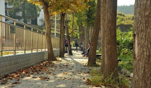 四川省鹽亭中學校園環(huán)境