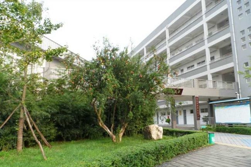 四川省德陽市第三中學(xué)校園一角1