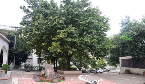 簡陽市賈家中學(xué)校園園林