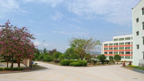 四川省蒼溪中學校校園環(huán)境1