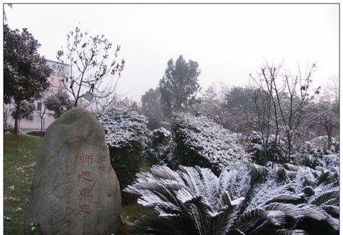 成都市鹽道街外語學(xué)校校園雪景