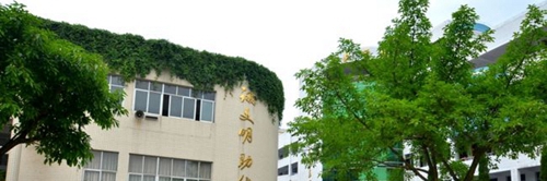 遂寧中學校園一角
