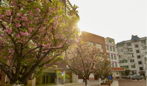 四川省廣元市元壩中學校園風景1