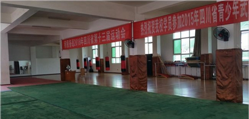 四川省蒼溪實驗中學校武術館