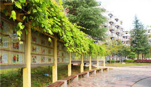 蓬溪中學(xué)校園環(huán)境3