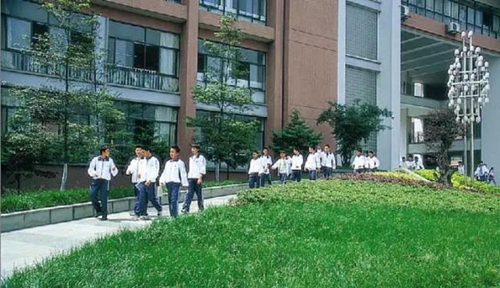 成都雙流中學實驗學校校園綠化