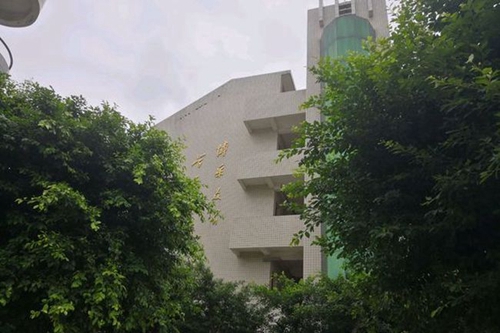 威遠(yuǎn)中學(xué)校樹(shù)蔭