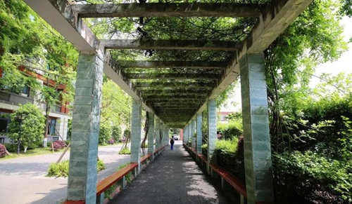 成都七中八一學(xué)校校園長(zhǎng)廊