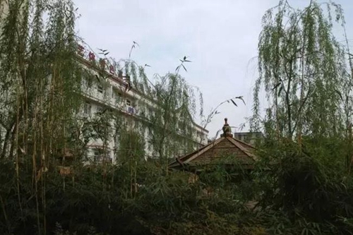四川省成都市龍泉第二中學(xué)校園風(fēng)景、