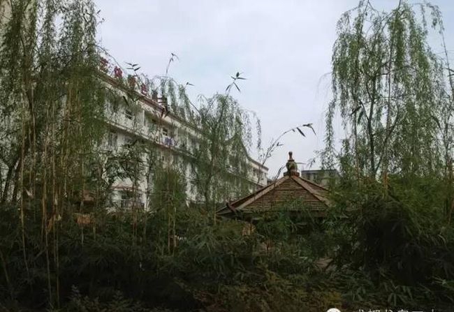 四川省成都市龍泉第二中學(xué)校園風景、