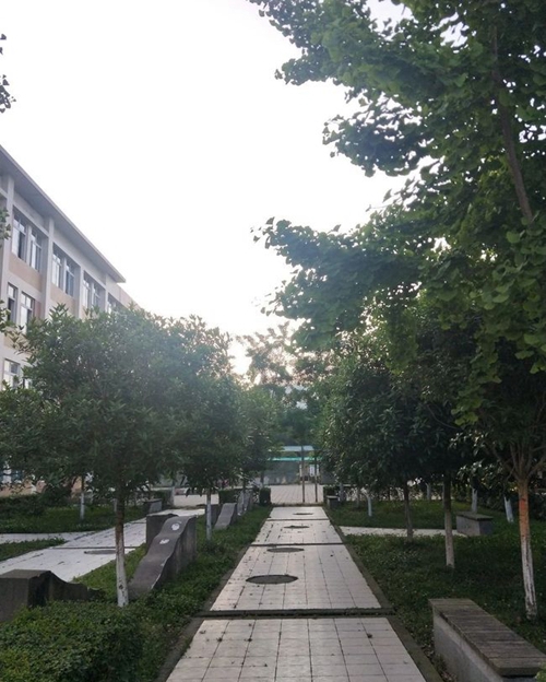 大邑縣實驗中學(xué)校園小徑