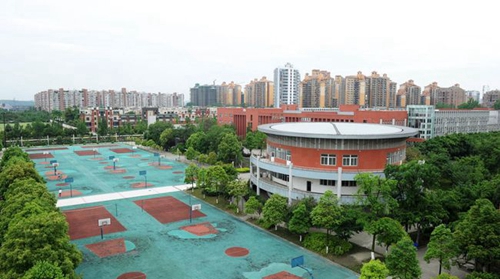 成都市新都香城中學籃球場
