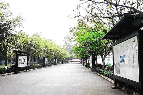 成都市青白江中學(xué)校園干道