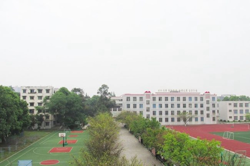 成都市青白江中學(xué)學(xué)校前視圖