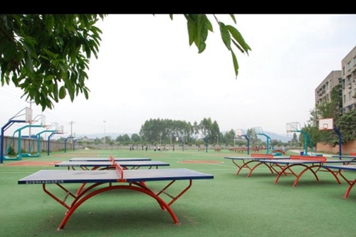 四川省金堂實驗中學(xué)乒乓球臺