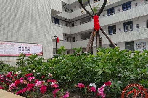 四川省金堂實驗中學(xué)校園綠化