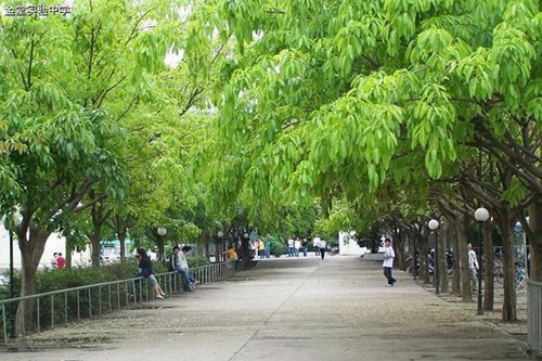 四川省金堂實驗中學(xué)校園日常