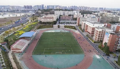 四川省南充市白塔中學(xué)操場俯視圖