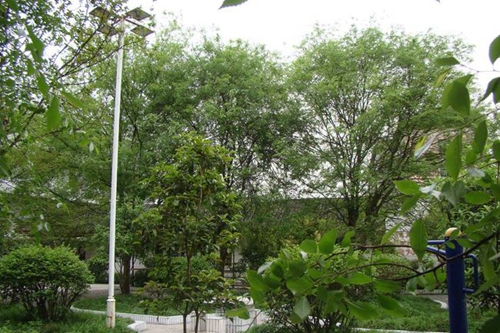 營(yíng)山縣小橋中學(xué)花園