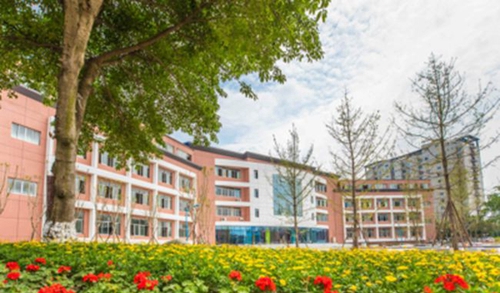 龍泉驛區(qū)新格林藝術(shù)高級中學(xué)校園風(fēng)景