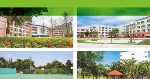 龍泉驛區(qū)新格林藝術(shù)高級中學(xué)校園景色