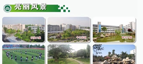 四川省邛崍市高埂中學(xué)校園風(fēng)景