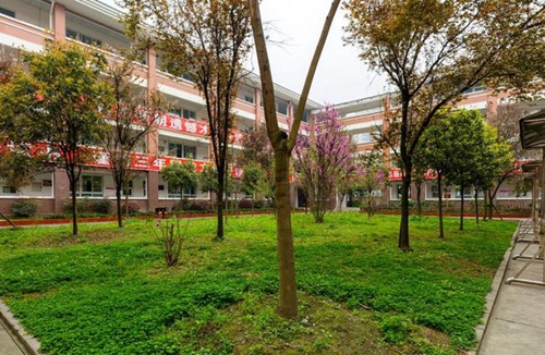 四川省崇慶中學(xué)草坪