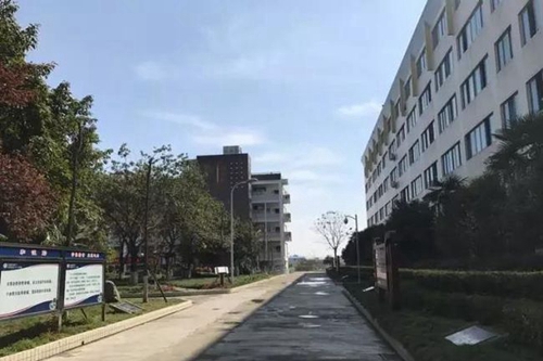 成都市第三十八中學校行道