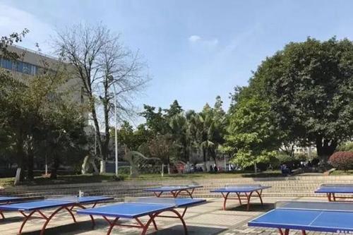 成都市第三十八中學校乒乓球臺