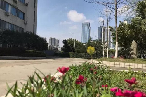 成都市第三十八中學校校園環(huán)境