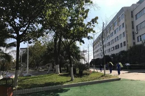 成都市第三十八中學校校園日常