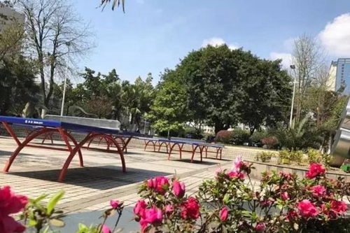 成都市第三十八中學校運動場