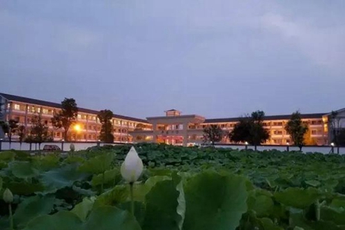 邛崍市平樂中學(xué)校校門前荷塘