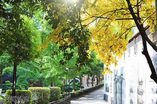 重慶市巴蜀中學(xué)校巴蜀長(zhǎng)廊