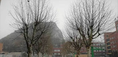 貴陽(yáng)三十九中校園環(huán)境2