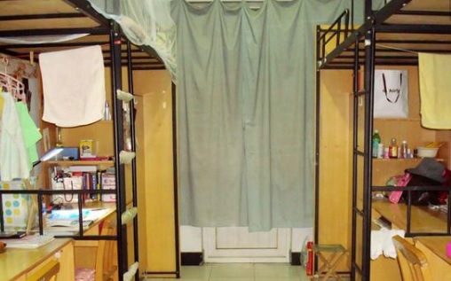 186.jpg