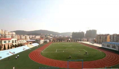 203.jpg