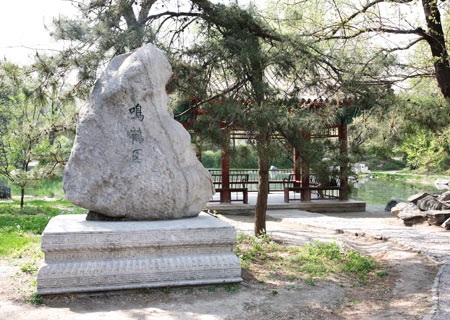 208.jpg