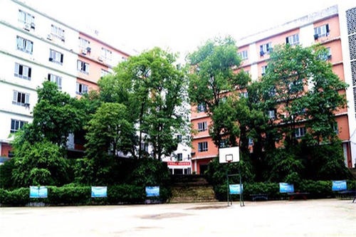 52.jpg
