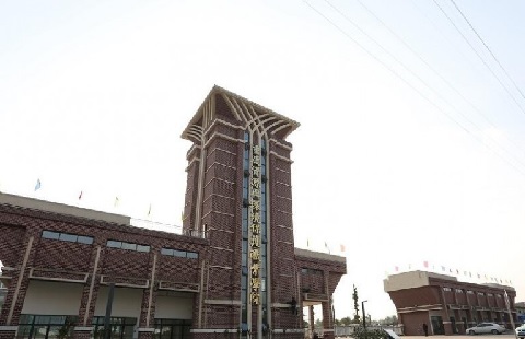 91.jpg