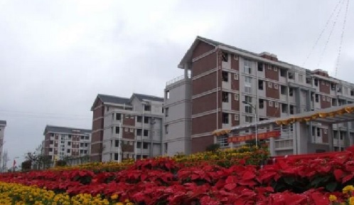 107.jpg