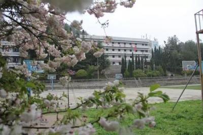 校園環(huán)境