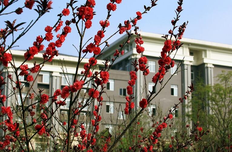 重慶能源職業(yè)學(xué)院五年一貫制2019年招生對(duì)象及招生條件