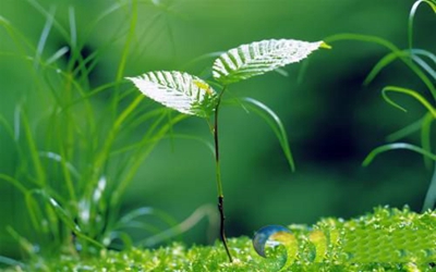 核工業(yè)成都機電學(xué)校2025年招生專業(yè)匯總