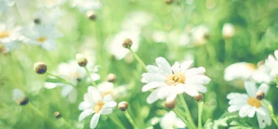 石家莊京華中等專業(yè)學(xué)校2025年招生簡(jiǎn)章