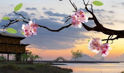阜新市第二中等職業(yè)技術(shù)專業(yè)學(xué)校2025年招生簡(jiǎn)章
